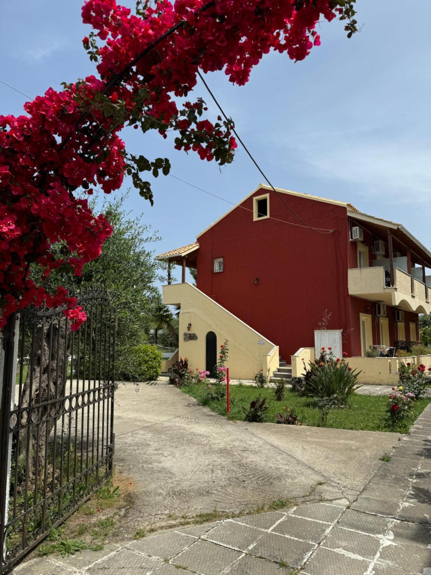 Olive Garden Studios & Apartments Acharavi  Exterior photo